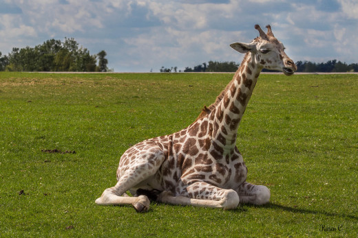 1065326 (a): :2048x1366